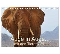 Auge in Auge mit den Tieren Afrikas (Tischkalender 2026 DIN A5 quer), CALVENDO Monatskalender: Große und kleine Tiere Afrikas ganz nah