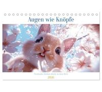 Augen wie Knöpfe (Tischkalender 2026 DIN A5 quer), CALVENDO Monatskalender: Augen wie Knöpfe ist eine zauberhafte Sammlung von Momenten, in denen die ... Augen direkt in die Kamera schauen.