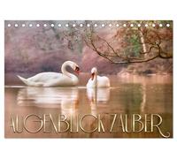 AUGENBLICK ZAUBER (Tischkalender 2026 DIN A5 quer), CALVENDO Monatskalender: Balsam für die Seele ... nimm dir Zeit und genieße den Moment ...