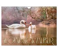 AUGENBLICK ZAUBER (Wandkalender 2026 DIN A4 quer), CALVENDO Monatskalender: Balsam für die Seele ... nimm dir Zeit und genieße den Moment ...