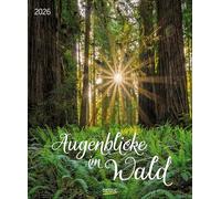 Augenblicke im Wald 2026: Wandkalender groß. Fotokunst-Kalender mit einzigartigen Bildern aus Wäldern. Großformat: 55 x 45,5 cm.