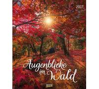 Augenblicke im Wald 2027: Wandkalender groß. Fotokunst-Kalender mit einzigartigen Bildern aus Wäldern. Großformat: 55 x 45,5 cm.