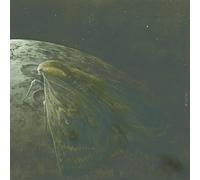 Augrimmer - Moth & the Moon