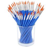 Augshy 60 Piezas Pinceles Pintura Acrilica, Pinceles Redondos, Pinceles, Pinceles Acuarela para Artistas, Adultos