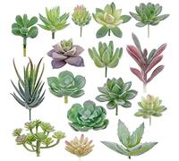 Augshy Suculentas artificiales, paquete de 16 plantas suculentas artificiales, pequeñas plantas falsas, suculentas artificiales sin maceta para paisaje de loto, decoración de arreglos de jardín, color