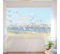 AugustknowU Calcomanías de paloma reflectante de arco iris para ventanas que sirven para doble propósito de prevención y decoración de colisiones de pájaros