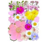 Auiremrti 33 unidades de flores secas prensadas rosas, paquete a granel natural real, varios pétalos secos para manualidades, jabón, decoración de uñas