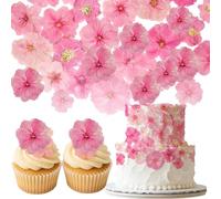 Auiremrti 40 Piezas 2 Tipos de Flores Naturales prensadas y secas comestibles para decoración de Pasteles-Mezcla Rosa Sakura, Flores de Cerezo para Adornos de Cupcakes, cócteles, artesanía de Resina
