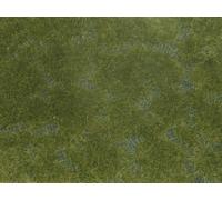 Aún 07252 Cubierta De Suelo Follaje Verde Oscuro 12 X 18 Cm NUEVO