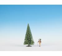 Aún G 68036 - Abeto, Aproximadamente 25 Cm Alto Nuevos