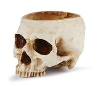 Aundhegrtt Conjunto de Props de Cuenco de Caramelo de Maceta de Rústica de Calavera de Resina