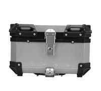 AUNMAS Baúl para Motocicleta, Aleación de Aluminio, Caja de Almacenamiento Trasera para Motocicleta, 32 L, de Liberación Rápida, con Cerradura, Resistente Al Agua, para Viajeros que Viajan Al (SILVER)