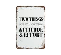 AUOQKQUT Classic You Can Control Attitude and Effort Aluminum Sign Teacher Appreciation W ift for Mentor Educator Instructor 8 X 12 inch