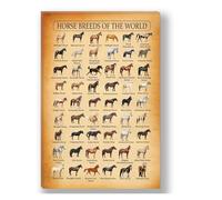 AUOQKQUT World Map of Horse Breeds Poster - Illustrated Chart with Different Types, Educational Wall Art for Equestrian Lovers, Farmhouse, Study, Nursery Unframed,12x18inch(30x45cm)