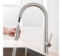 Auralum Grifo Cocina Extraible, Grifos de Cocina Fregadero Monomando con Ducha Extensible, Torneira Cozinha para Agua fría o caliente, Acero Inoxidable