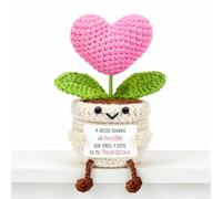 Aurasky Corazón de Ganchillo con Maceta Sonriente - Tarjeta «Eres Increíble» - Regalo Emocional para Amigos, Pareja o Compañeros - Decoración Positiva para Cumpleaños, San Valentín u Oficina
