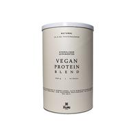 Auri Foods Vegan Proteína Blend Natural 450g