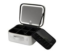 Auricrest Travel Makeup Bag, Beauty Reformation Travel Makeup Bag with Adjustable Dividers, with Led Lighted Make Up Case,for Travels & Daily (Silver)