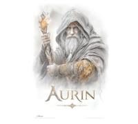Aurin: Aurin. Zwischen den Welten, zwischen den Zeiten! Fünf Leben voller Macht, Magie und dunkler Geheimnisse vereinen sich in einer epischen Reise durch die Jahrtausende, bevor die Welt zerbricht.
