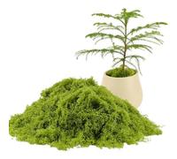 AURISSE Musgo artificial verde claro de 100 g, césped falso filiforme de bosque de simulación para manualidades, paisaje, pared, Pascua, decoración del hogar y jardín