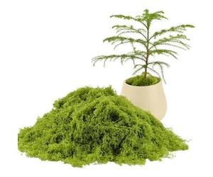 AURISSE Musgo artificial verde claro de 100 g, césped falso filiforme de bosque de simulación para manualidades, paisaje, pared, Pascua, decoración del hogar y jardín