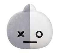 AURORA, 61471, BT21 Official Merchandise, Van - Cojín de Felpa, Gris y Blanco, Gris y Blanco