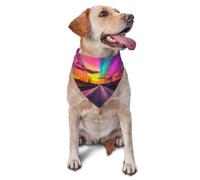 Aurora at the highway - Elegante bufanda para perros