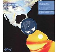 Aurra - Make Up Your Mind [Vinilo]