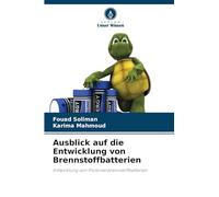 Ausblick auf die Entwicklung von Brennstoffbatterien: Entwicklung von Protonenbrennstoffbatterien