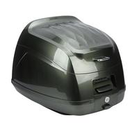 Ausla 32L Maletero para Motocicletas, Caja Trasera Impermeable para Viajes, Bolsas para Casco, Portaequipajes con Cojín de Respaldo y Candado para Motocicletas y Scooters (Green)