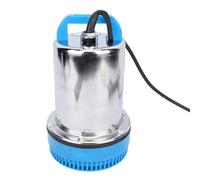 Ausla Bomba Sumergible de 12 V, Acero Inoxidable, Alta Elevación y Gran Caudal para Jardinería y Acuicultura con Elevación de 26,2 Pies