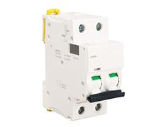 Ausla Disyuntor, Disyuntor en Miniatura PA66 2P AC400V Ui 500VAC, Protección contra Sobrecarga Corta Extinción Rápida de para Hogares Tiendas Talleres Paneles (40A)