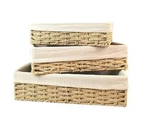 Ausla Juego de Cestas de Almacenamiento de Mimbre, Cuerda de Papel Renovable con Marco de Hierro, Organizadores Versátiles para Sala de Estar y Dormitorio, 3 Opciones de Tamaño