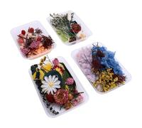 Ausla Juego de Flores Secas, Plantas Secas Vibrantes para Hacer Velas, Decoración del Hogar y Manualidades para Entusiastas Creativos