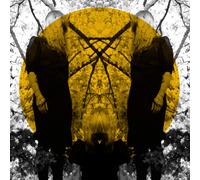 Austra - Feel It Break