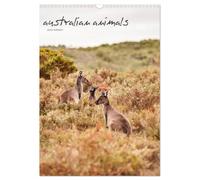 australian animals (Wandkalender 2026 DIN A3 hoch), CALVENDO Monatskalender: Die Tierwelt Australiens