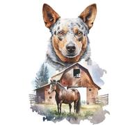 Australian Cattle Dog, Blue Heeler, Cattle Dog, ACD, Farm Dog: 6 x 9 College Ruled Notebook 120 Pages