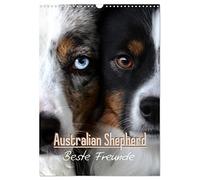 Australian Shepherd - Beste Freunde (Wandkalender 2026 DIN A3 hoch), CALVENDO Monatskalender: Australian Shepherd sind die treuesten Hütehunde der Welt.