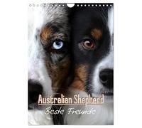 Australian Shepherd - Beste Freunde (Wandkalender 2026 DIN A4 hoch), CALVENDO Monatskalender: Australian Shepherd sind die treuesten Hütehunde der Welt.