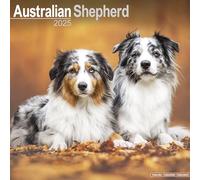 Australian Shepherd Calendar 2025 Square Dog Breed Wall Calendar - 16 Month
