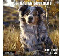 Australian Shepherd Calendar 2026: Loyal Herding Companions in Action and Rest