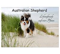 Australian Shepherd - Lebensfreude auf vier Pfoten (Wandkalender 2026 DIN A3 quer), CALVENDO Monatskalender: Die Abenteuer eines powervollen Australian Shepherd
