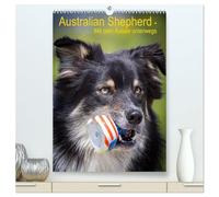Australian Shepherd - Mit dem Aussie unterwegs (hochwertiger Premium Wandkalender 2026 DIN A2 hoch), Kunstdruck in Hochglanz: Erleben Sie die vier Jahreszeiten mit dem Australian Shepherd
