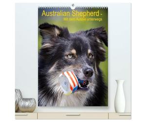Australian Shepherd - Mit dem Aussie unterwegs (hochwertiger Premium Wandkalender 2026 DIN A2 hoch), Kunstdruck in Hochglanz: Erleben Sie die vier Jahreszeiten mit dem Australian Shepherd