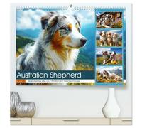 Australian Shepherd. Wanderfreude auf Pfoten im Bergsommer (hochwertiger Premium Wandkalender 2026 DIN A2 quer), Kunstdruck in Hochglanz: Flauschige Hunde genießen die Freiheit in der schönen Bergwelt