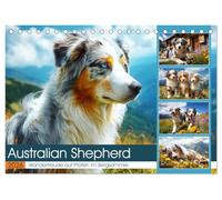 Australian Shepherd. Wanderfreude auf Pfoten im Bergsommer (Tischkalender 2026 DIN A5 quer), CALVENDO Monatskalender: Flauschige Hunde genießen die Freiheit in der schönen Bergwelt