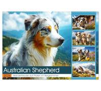 Australian Shepherd. Wanderfreude auf Pfoten im Bergsommer (Wandkalender 2026 DIN A2 quer), CALVENDO Monatskalender: Flauschige Hunde genießen die Freiheit in der schönen Bergwelt