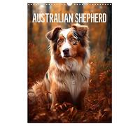 Australian Shepherd (Wandkalender 2026 DIN A3 hoch), CALVENDO Monatskalender: Australian Shepherd - Der beliebte Familienhund