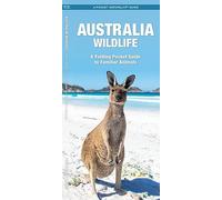 Australian Wildlife: A Folding Pocket Guide to Familiar Species (Pocket Naturalist Guide Series)