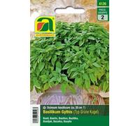 AUSTROSAAT Albahaca "Esfera Verde" - Gythis - 1 paq.